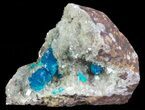 Vibrant Blue Cavansite Clusters on Stilbite - India #64799-2
